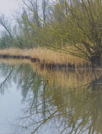 Stacks Image 10216
